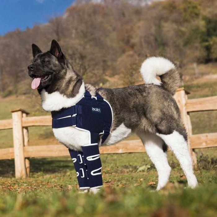 Balto BT LUX - Orteza na ramię M