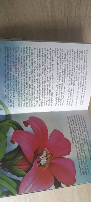 Książka Baśnie Andersena