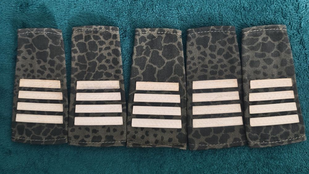 Plutonowy pagony zestaw