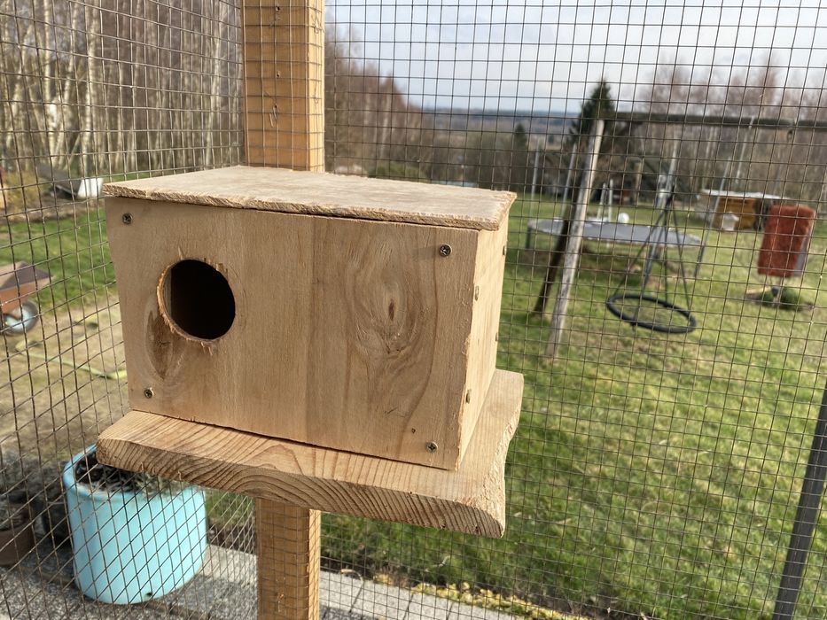 Klatka z kołowrotkiem woliera