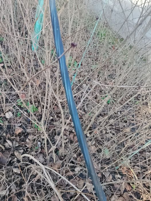 кабель чотирьохжильний аввг