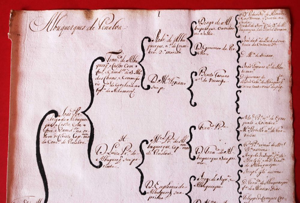 Albuquerques de Penalva // Carvalhos de Guimarães 2 árvores costados