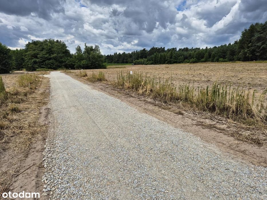 Spokój, przestrzeń i las za płotem – idealne miejsce na dom - Widok 2