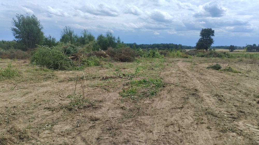Czyszczenie działek rębak wycinka minikoparka wyburzenia karczowanie