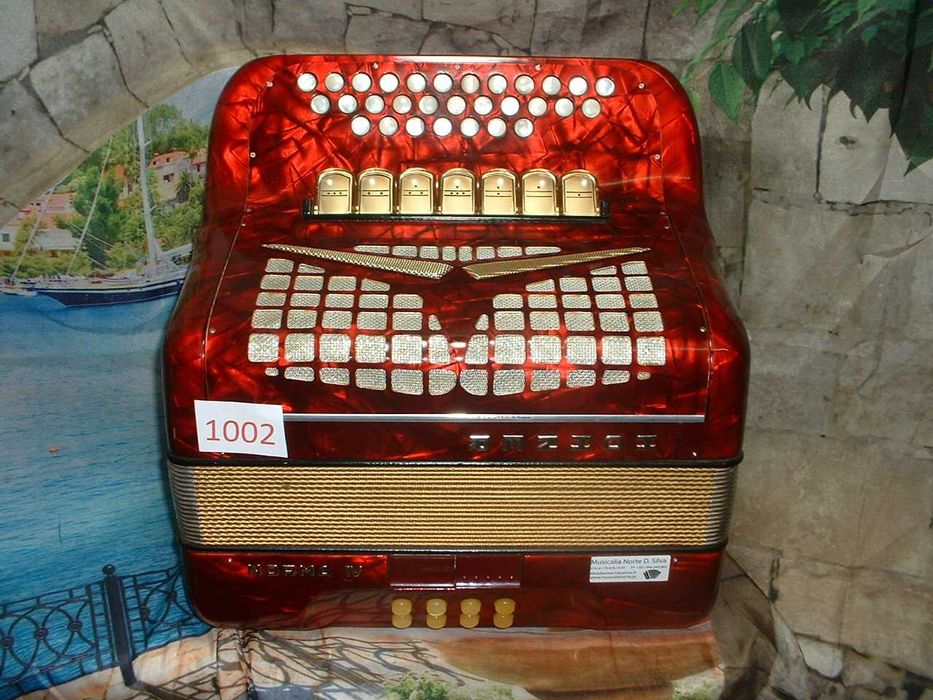 Promoção de Acordeões de concertinas