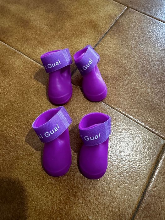 Sapatos para cães