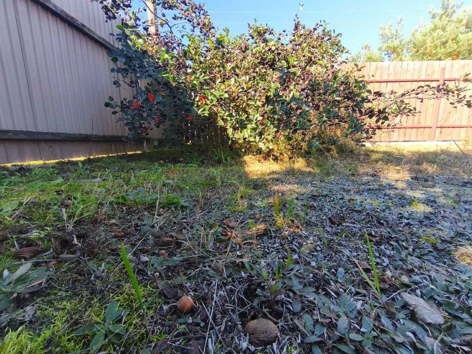 Акція! Земельна ділянка в СТ «Садко», с. Андріївка, Бучанський р-н