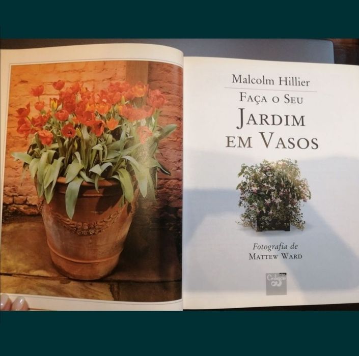 Flores Secas. Faça o seu Jardim em Vasos