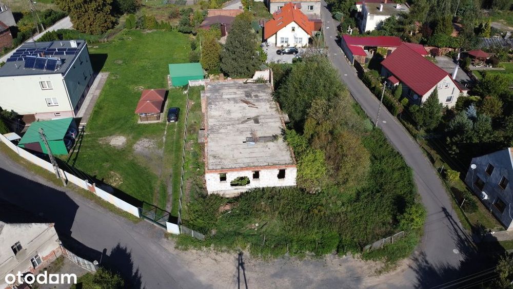 Zdjęcie 3