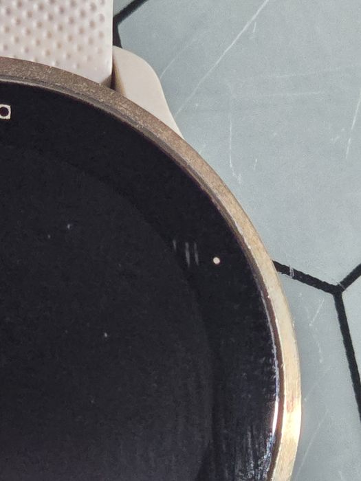 Годинник Garmin Venu2S