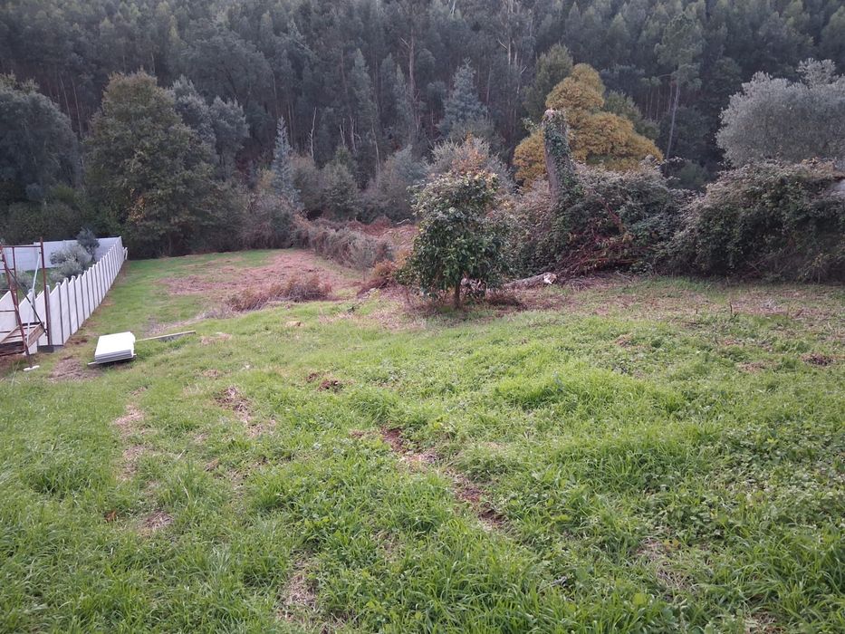Terreno com 1456 m² no Ameal, Castanheira de Pêra — Castanheira De Pêra E Coentral, Leiria