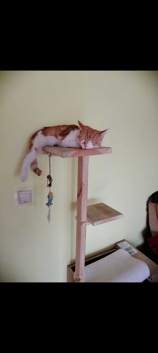 Domek dla kota duży. Legowisko.Drapak