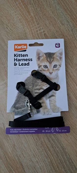 Oddam szelki dla kociąt