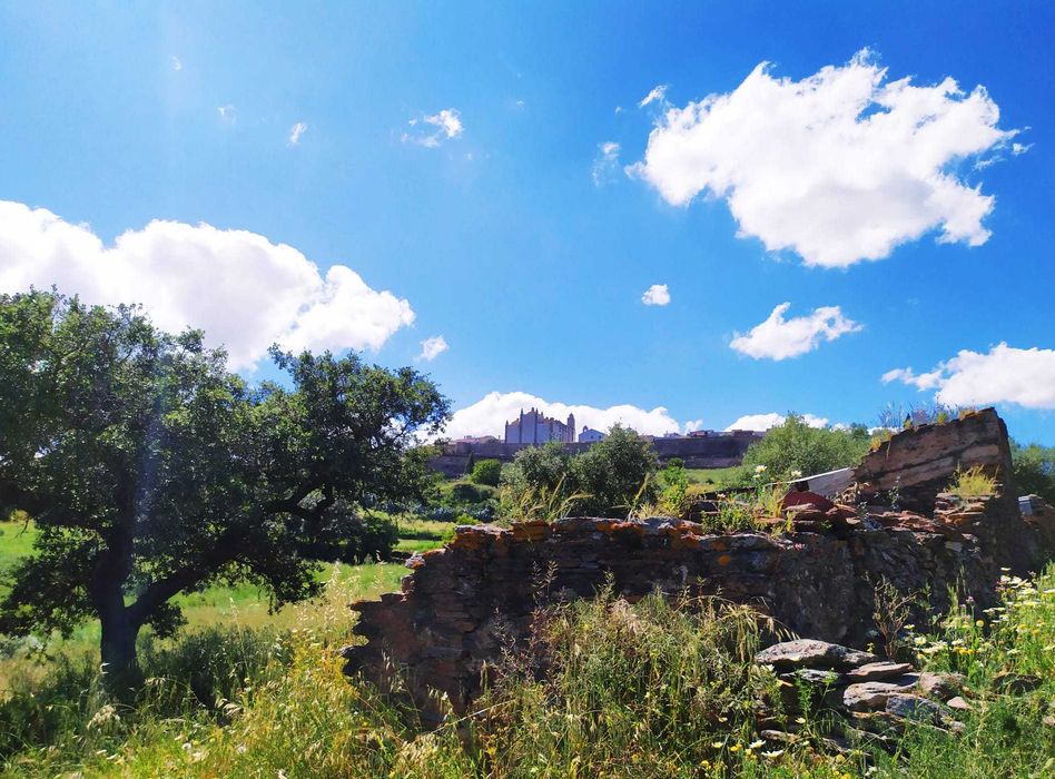 Monsaraz O sítio único e paradisíaco quinta com ruína para reconstruir