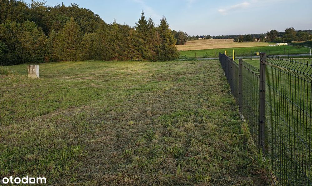 Działka Budowlana uzbrojona MPZP ze ścianą lasu - Widok 3