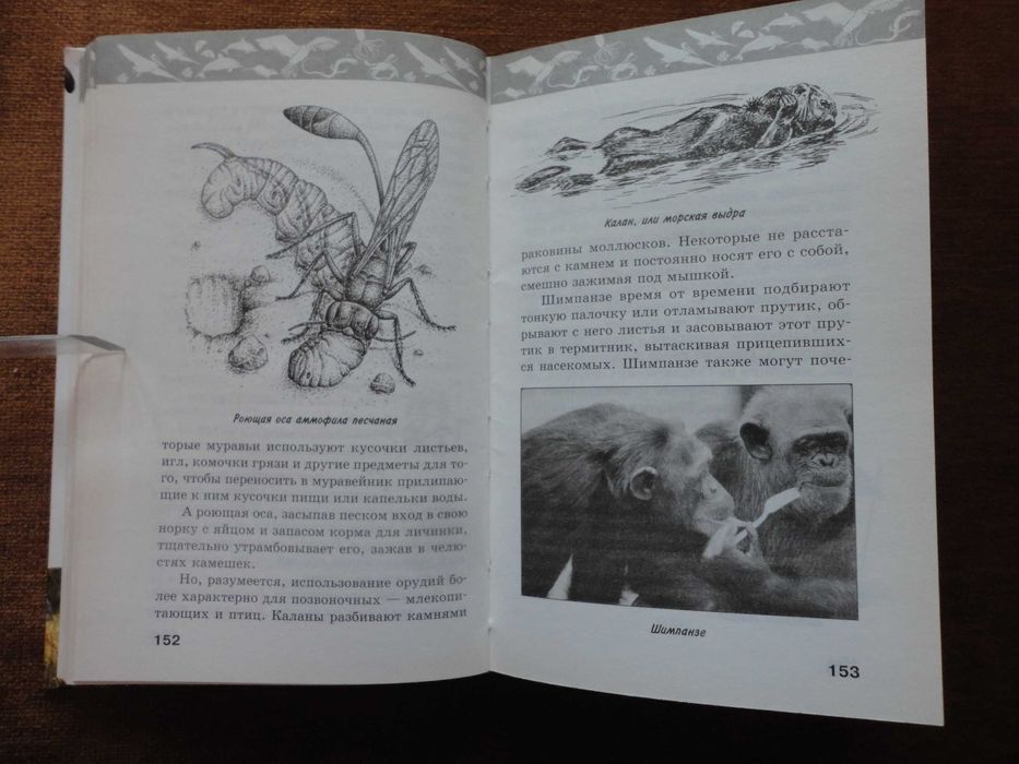 Жизнь животных. Детская энциклопедия