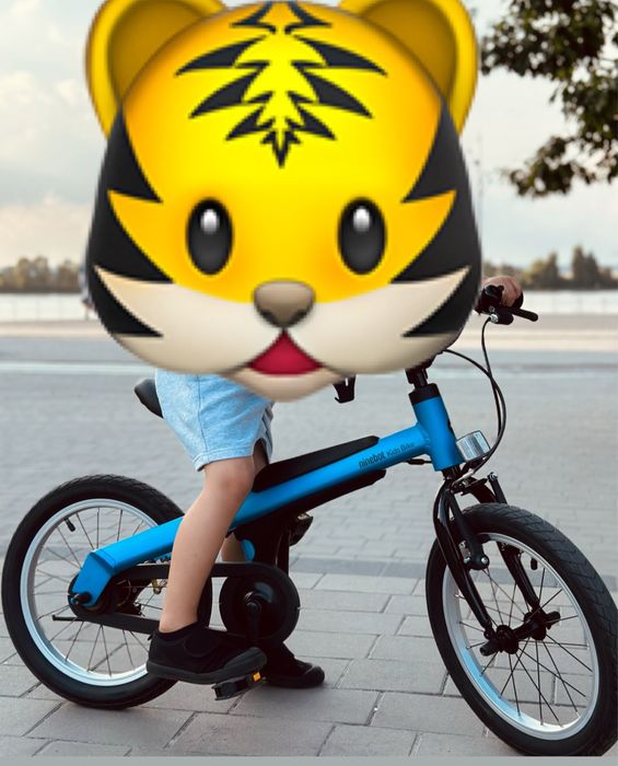 Велосипед Ninebot Kids Bike 16: 4 700 грн. - Велосипеди Івано ...
