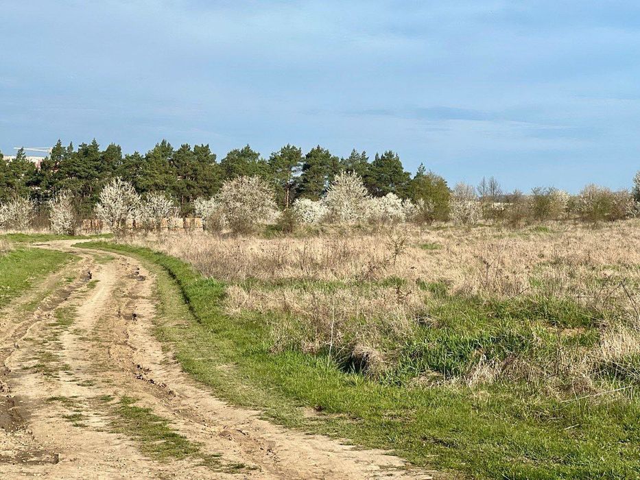 Продається земельна ділянка. Чортків