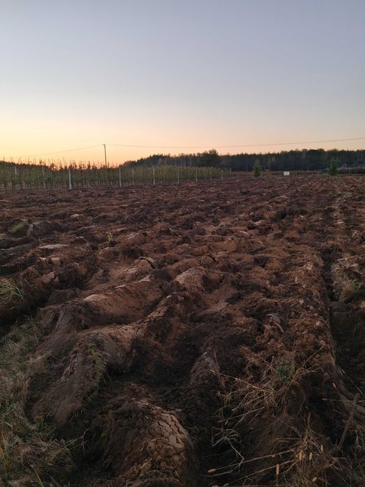 Sprzedam Działkę Rolną 2.78 ha