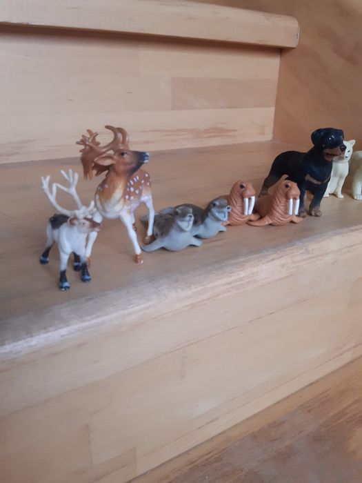 Фігурки тварин Safari, k&m