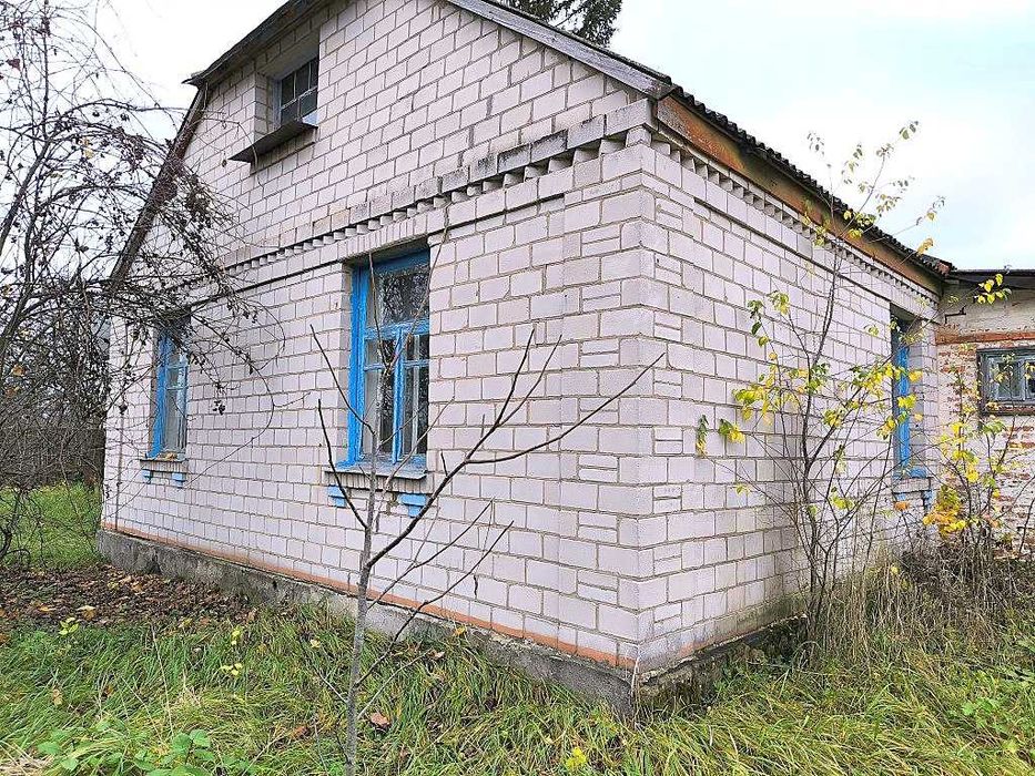 Жилий будинок та 29сот.В с.Бишів.Розвинена інфраструктура.Київ 40км.
