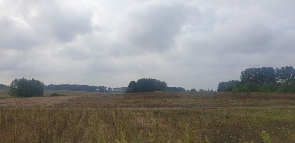 Ujazd k. Kiszkowa – działka rolna 3239 m²