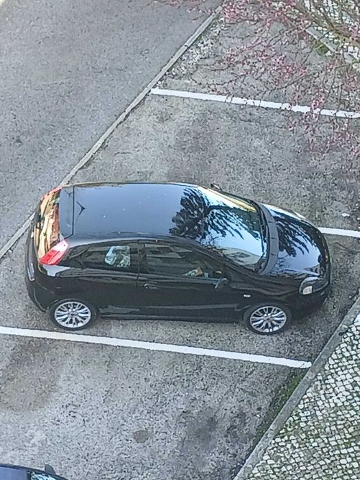 Punto sport multijet so com um dono