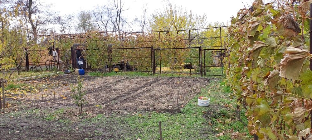 Дача, Соловьиная роща