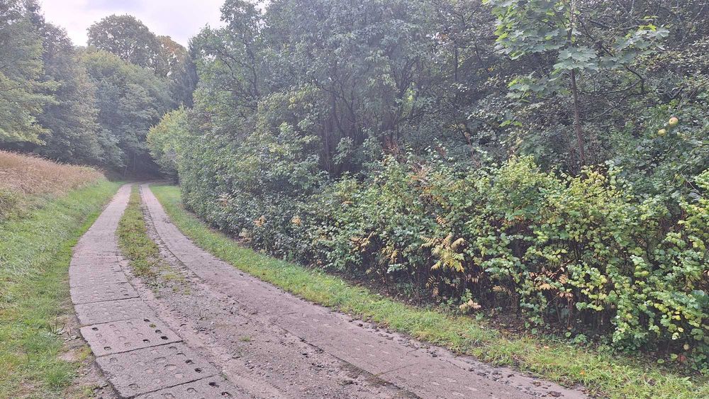 Sprzedam działkę budowlaną w Zagórzu, przy lesie, blisko jeziora