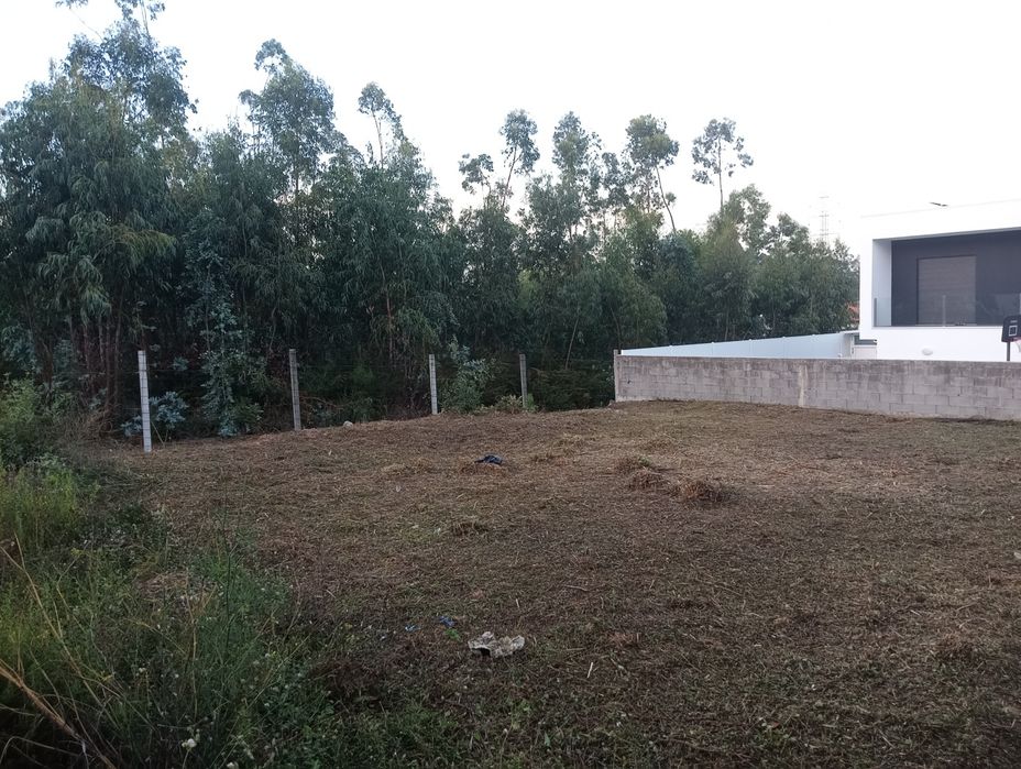 Limpeza de terrenos com roçadora
