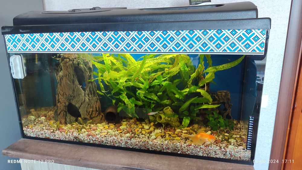 Продам акваріум 280літрів з усім обладнанням і рибками