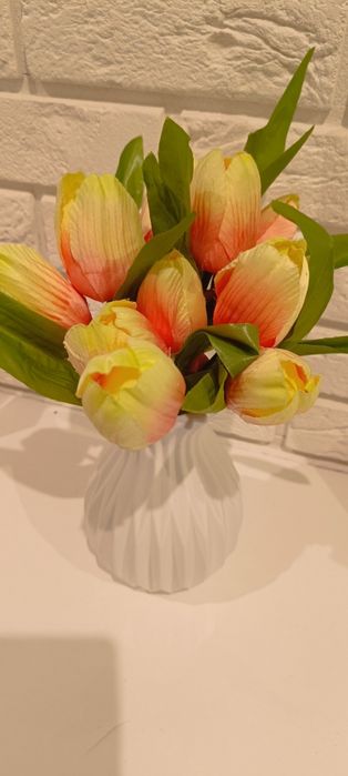 Tulipany ozdobne