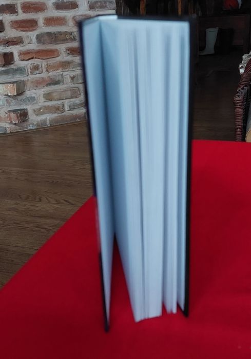 Kolacja dla wrony Jonathan Carroll