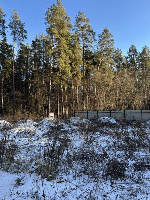 Продам ділянку с виходом до Заповідного Лісу