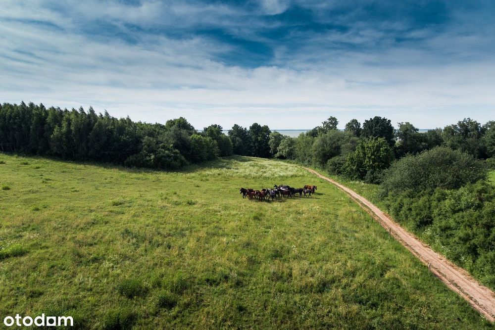 Działka nad Zalewem Wiślanym