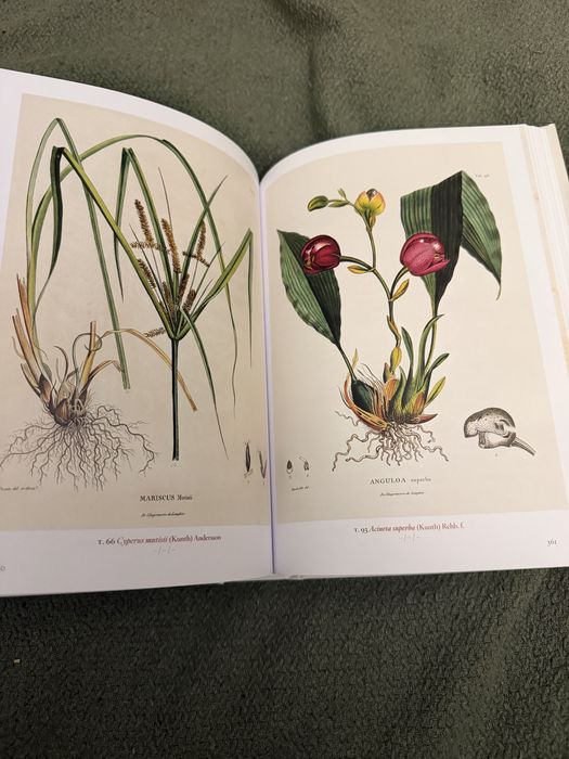 A Garden Eden. Masterpieces of Botanical Illustration ботаніка