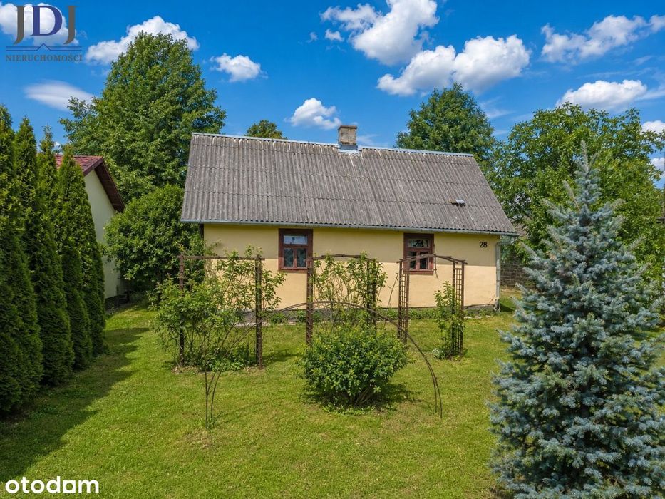 Dom drewniany 80 m2. Działka 38 ar. Wojsławice