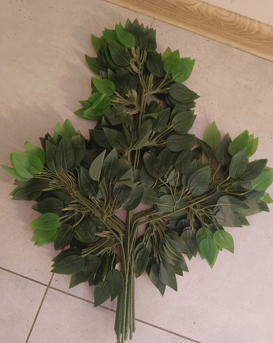 liści benjamin 3x42 liści 12 szt