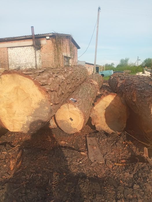 Пиломатерiали.Дошка.Брус.      .Будь-яких розмiрiв