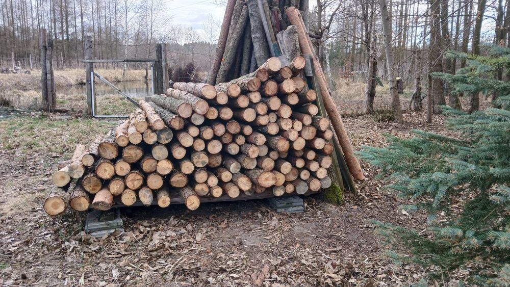 Słupki ogrodzeniowe 2.2-metrowe