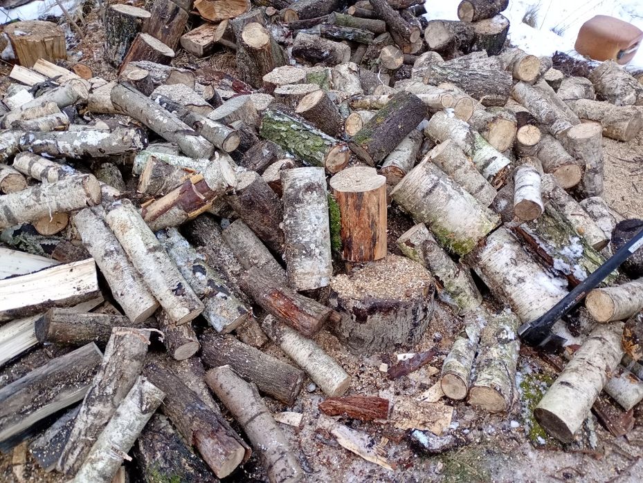 Drewno kominkowe suche brzoza