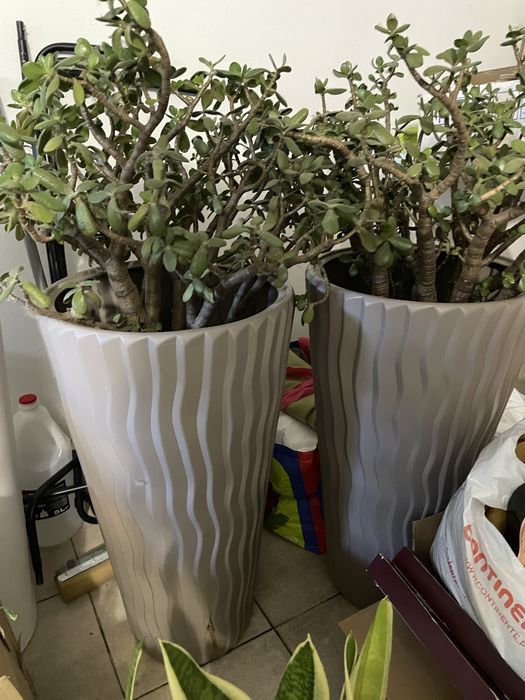 Vasos decorativos altos com plantas artificiais