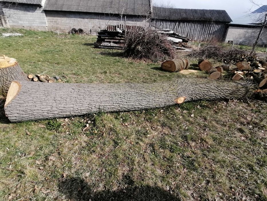 Sprzedam kłode dębową