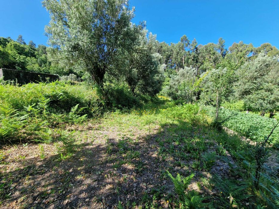 Quintinha com Árvores de fruto e Água