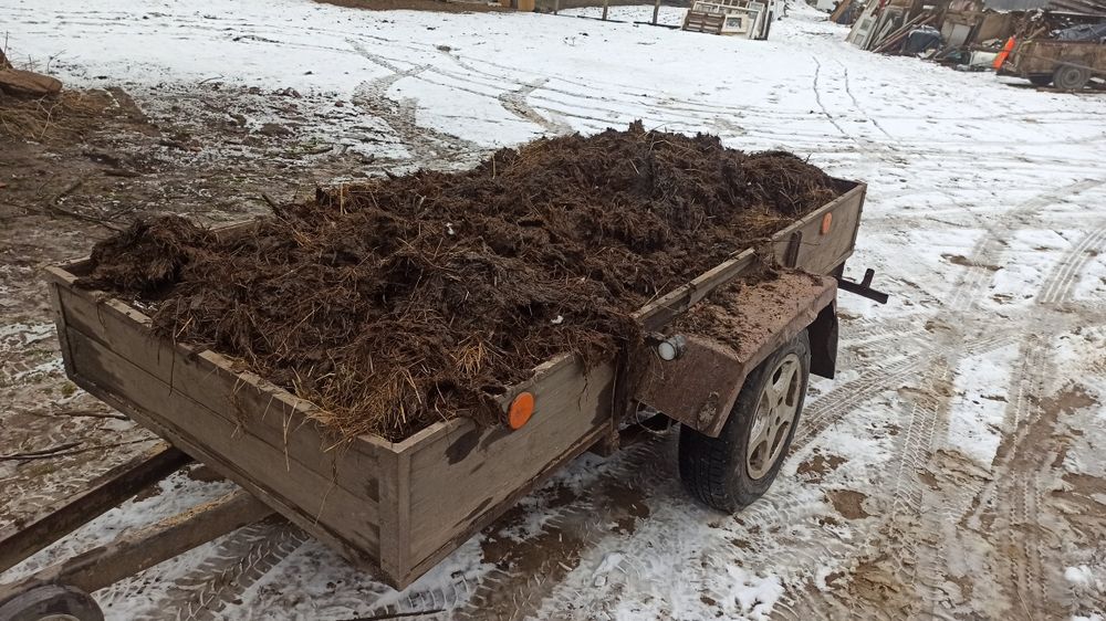 Obornik  sezonowany 50 gr/kg, doskonały nawóz ogrodowy