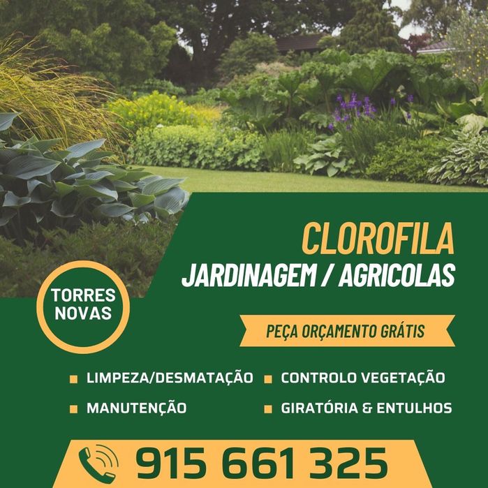 Limpeza de terrenos / Manutenção de jardins