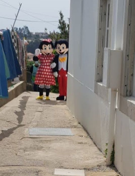 Aluguer Fato  Marshal/ Panda / Minnie/ Mickey