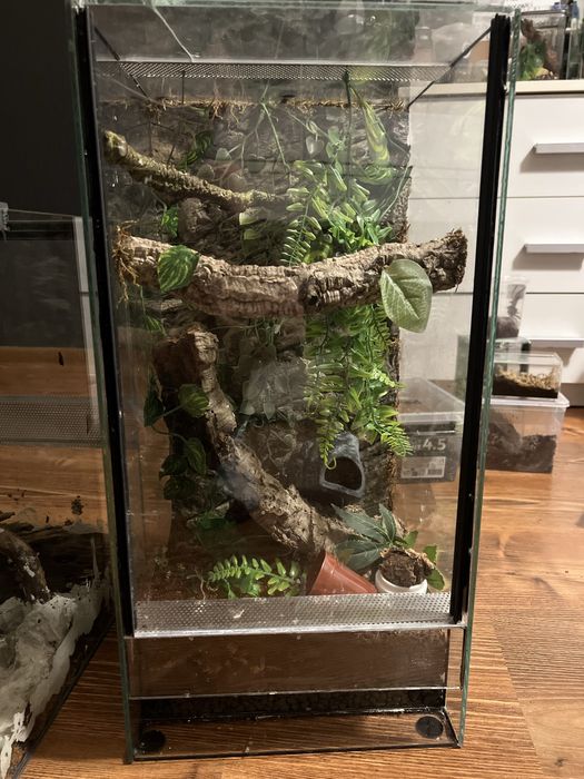 terrarium z wyposazeniem