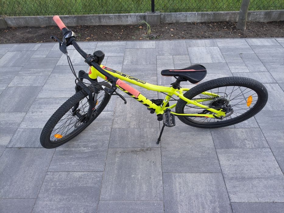 Scott scale 24 disc