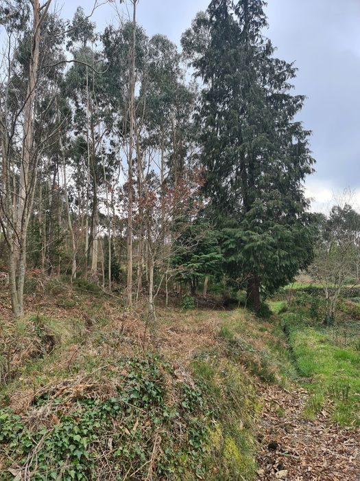 Quinta Agrícola a 5 minutos da A25